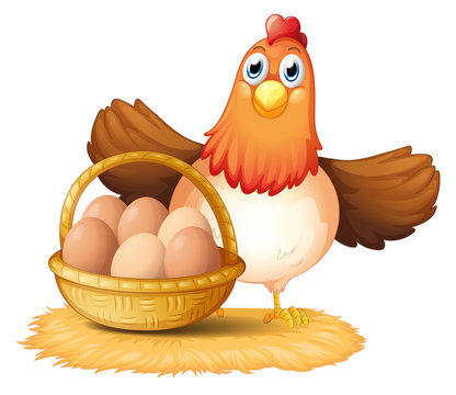 A hen and a basket of egg