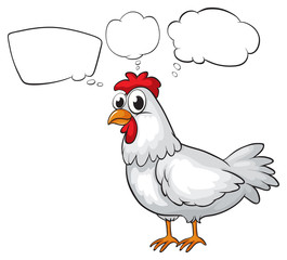 A rooster with the blank callouts