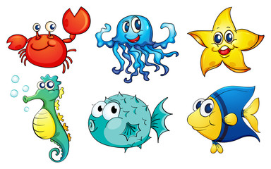The different sea creatures
