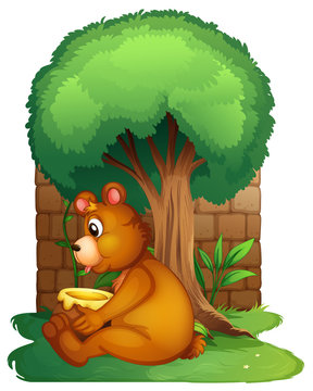 A bear sitting under a big tree