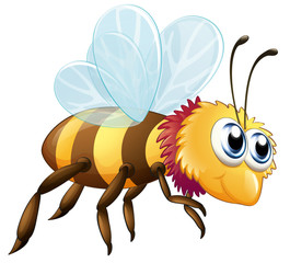 A colorful bee