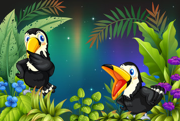 Deux oiseaux à la forêt tropicale