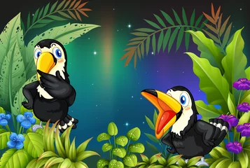 Poster Im Rahmen Zwei Vögel im Regenwald © GraphicsRF