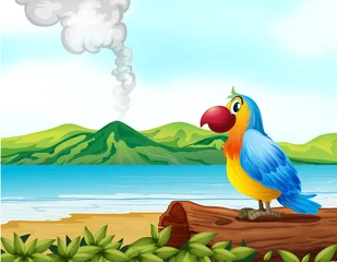 Stof per meter Een kleurrijke papegaai op het strand © GraphicsRF