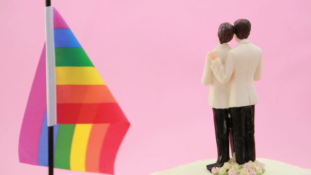 Gay groom cake toppers in front of rainbow flag revolving