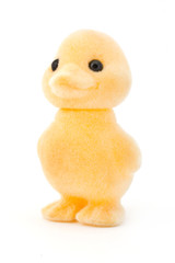 Small yellow toy duck on white
