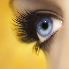 Beautiful woman eye close up with long lashes