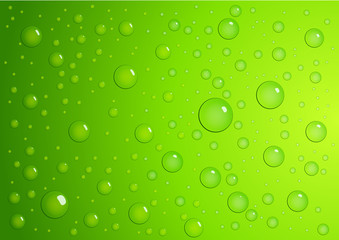 Gouttes sur fond vert pomme