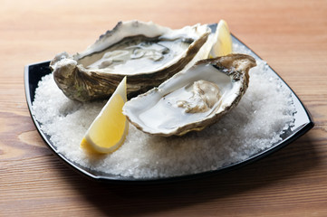 oysters