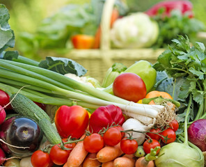 Fresh organic  vegetables