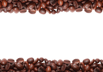 coffee bean in white background