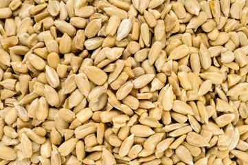Macro of sunflower seeds texture
