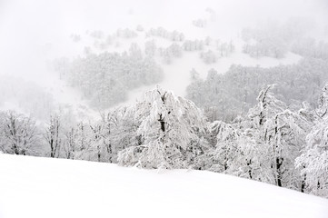 Obraz premium Landscape