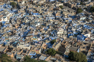 Blue houses in the city Jodhpur in Rajasthan, India