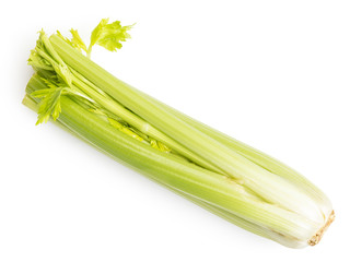whole fresh celery