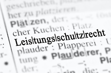 Leistungsschutzrecht