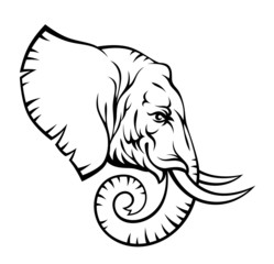 Naklejka premium Elephant head