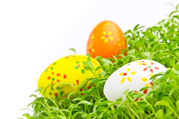 Decorative easter eggs in a grass