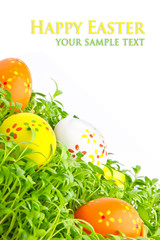 Decorative easter eggs in a grass