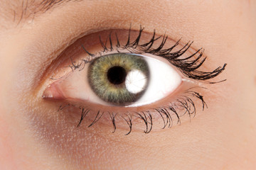 Macro photo of a female eye 
