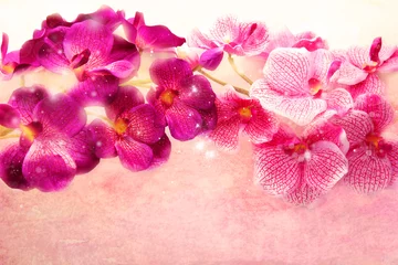 Wandcirkels Orchidee Lovely purple and pink orchids on a soft pink background  © abigail210986