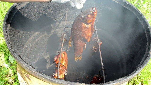 hand glove hold smoke tench fish smokehouse barrel