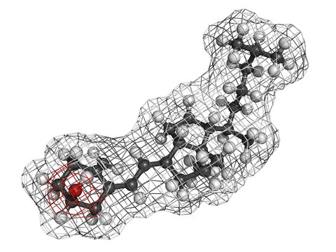 Vitamin D3 (cholecalciferol) molecule