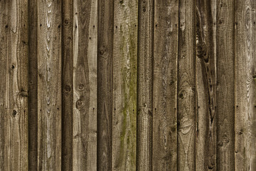 Holzwand, Hintergrund