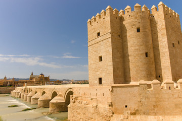 Naklejka premium Roman bridge of Cordoba