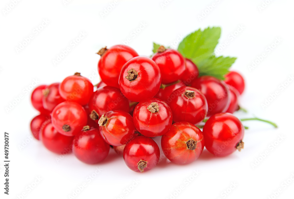 Poster ripe red currant