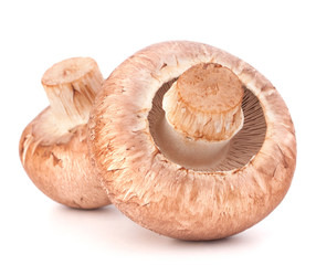 Brown champignon mushroom