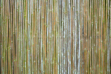 old bamboo wall