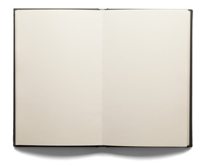 Blank Open Book