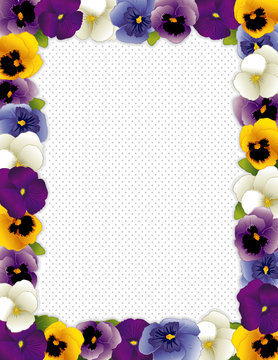 Pansy Flower Frame, Violas, polka dot background, copy space