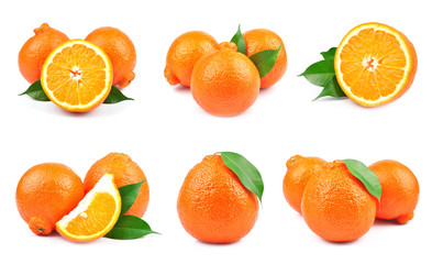 collection orange