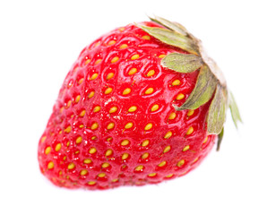 one strawberry macro photo isolated
