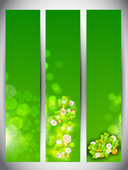 Website banner set for St. Patrick's Day celebration with shamro