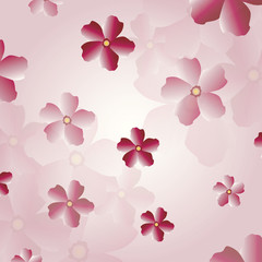 Cherry Blossom Background