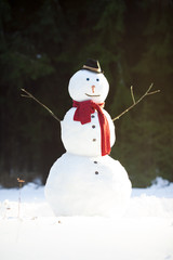Traditional snowman