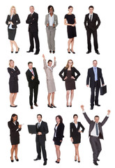 Obraz premium Business people, managers, executives