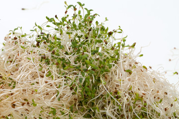 The healthy diet. Fresh sprouts isolated on white background