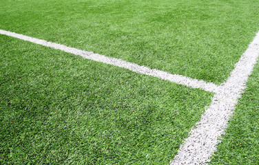 Soccer field grass on the green