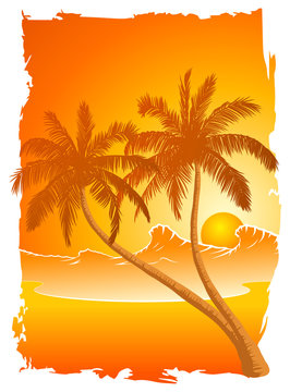 Palmen mit Sonnenuntergang am Wasser