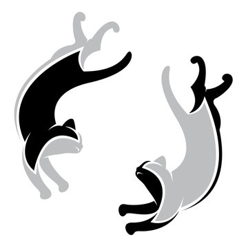 Vector image of an cat on white background