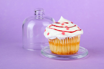 Cupcake on saucer with glass cover, on color background