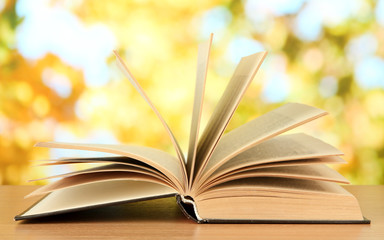 Opened book on bright background
