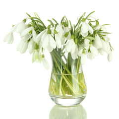 Bouquet of snowdrop flowers in glass vase, isolated on white