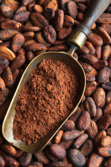 cocoa beans and retro scoop with cocoa powder