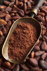 cocoa beans and retro scoop with cocoa powder