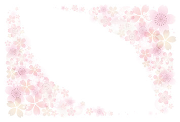 Fototapeta na wymiar Cherry Blossoms